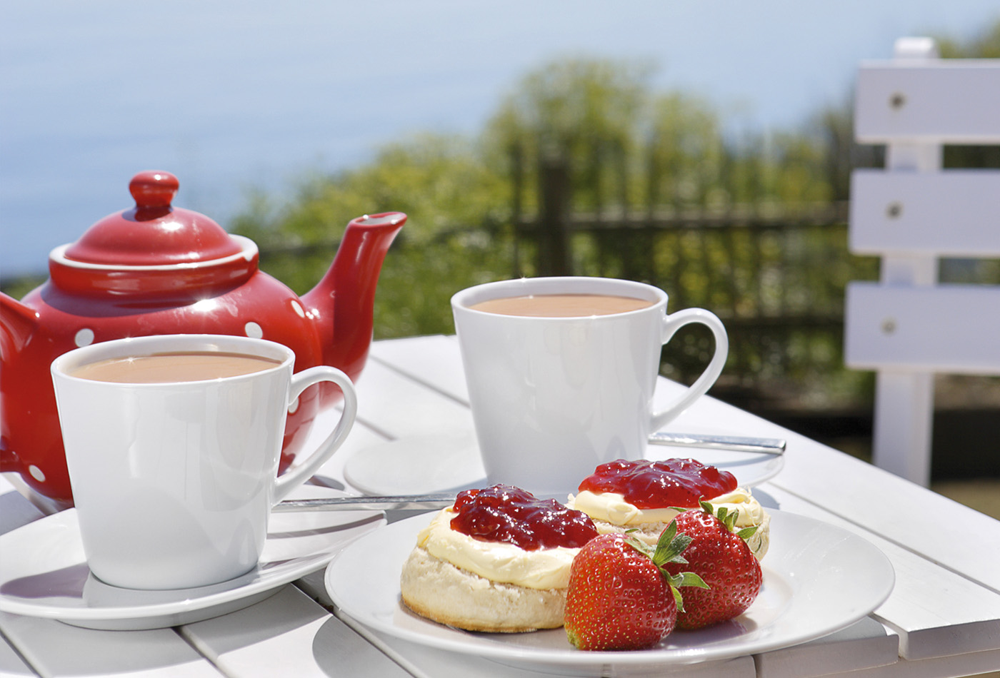 Peggy's Strawberry Tea (provn)